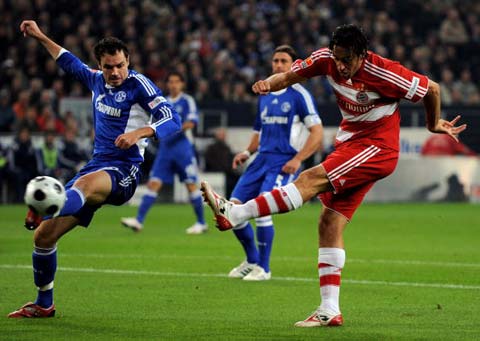 他的回应也 他的回应也